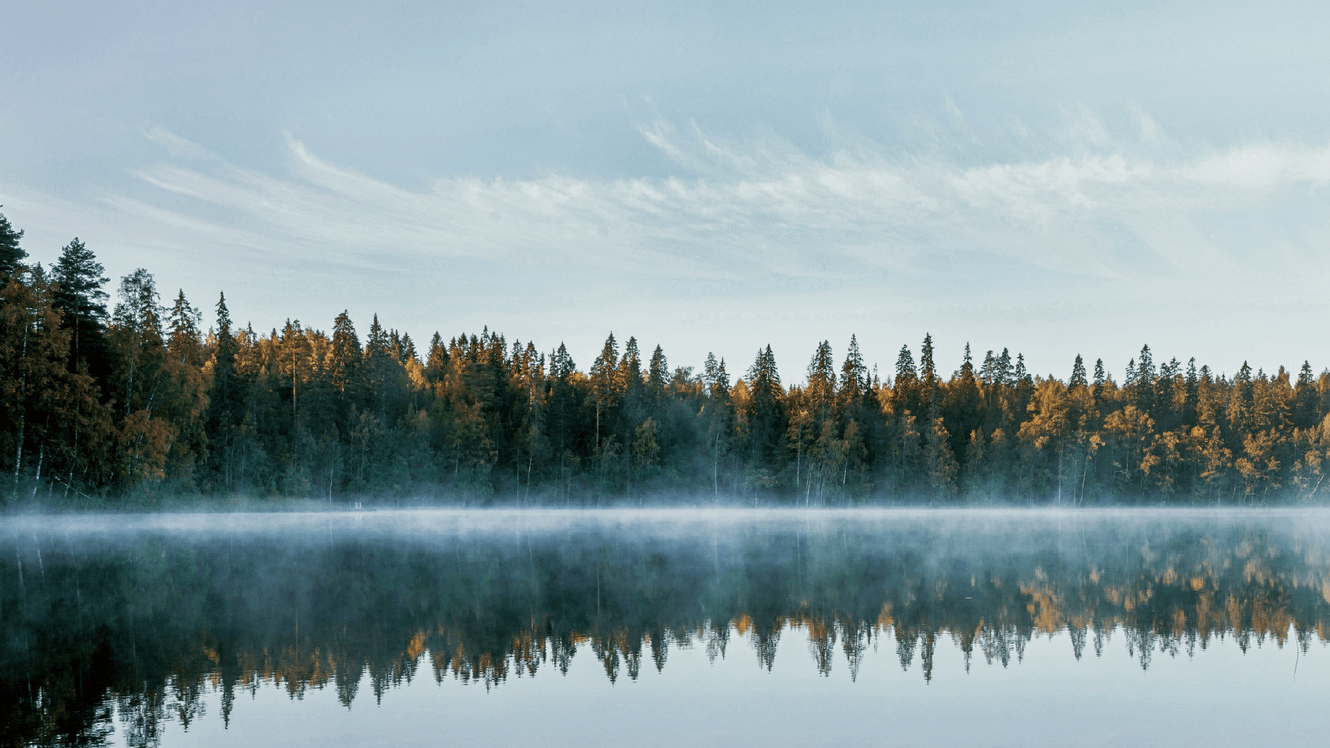 众悦风空气生态系统