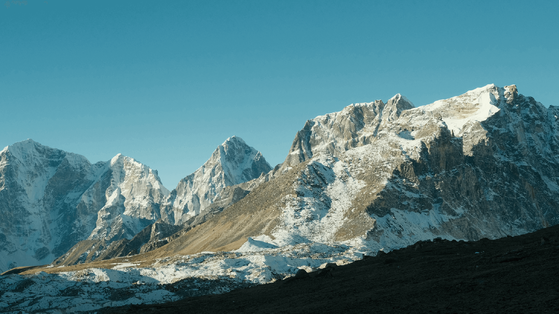 众悦风空气生态系统
