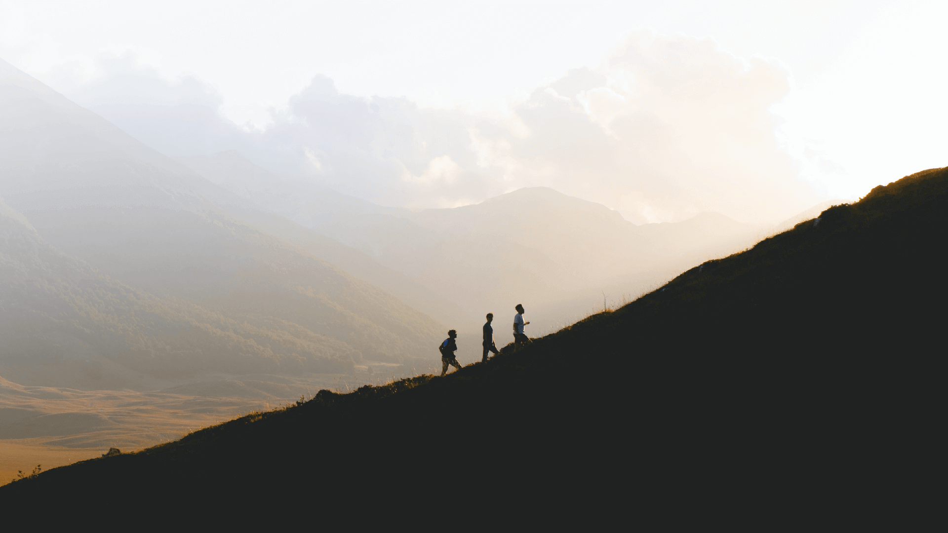 众悦风空气生态系统