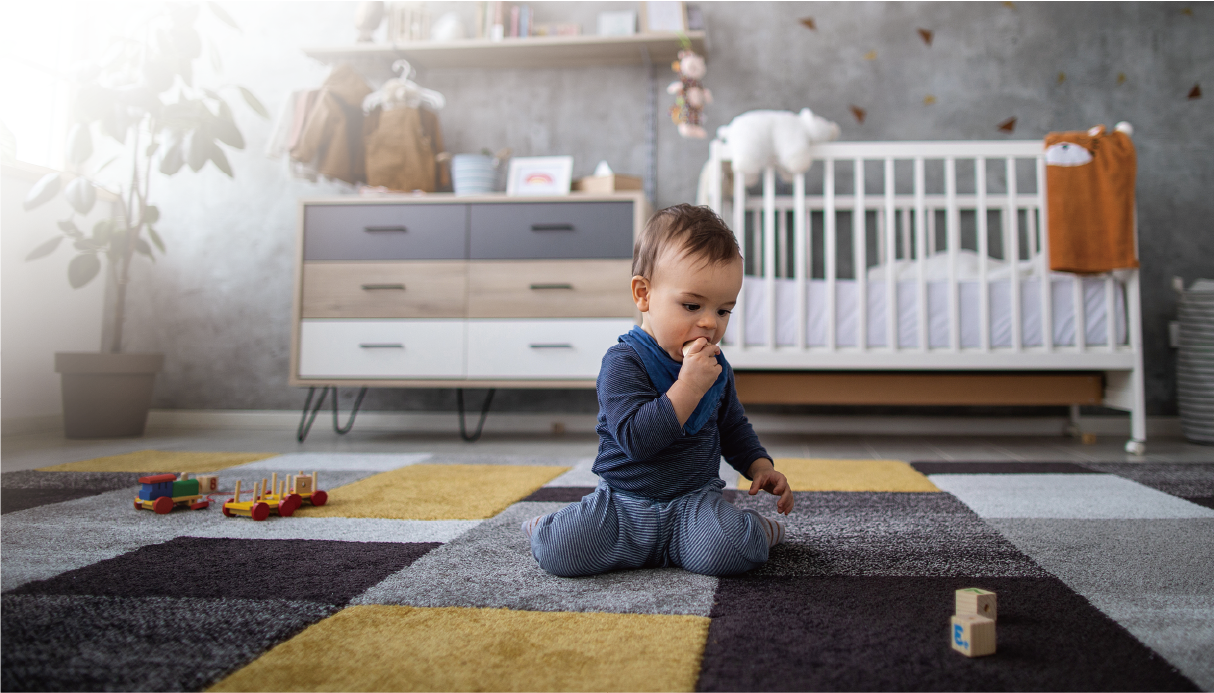 众悦风空气生态系统
